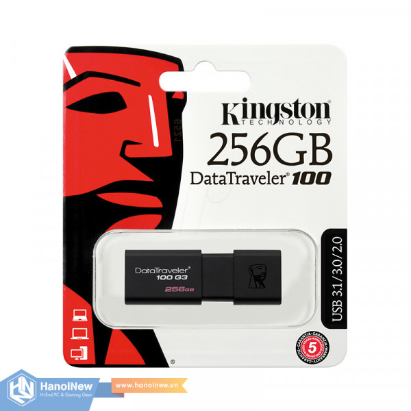 USB Kingston DataTraveler 100 G3 256GB