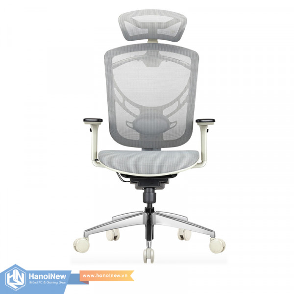 Ghế Công Thái Học GTCHAIR IVINO M