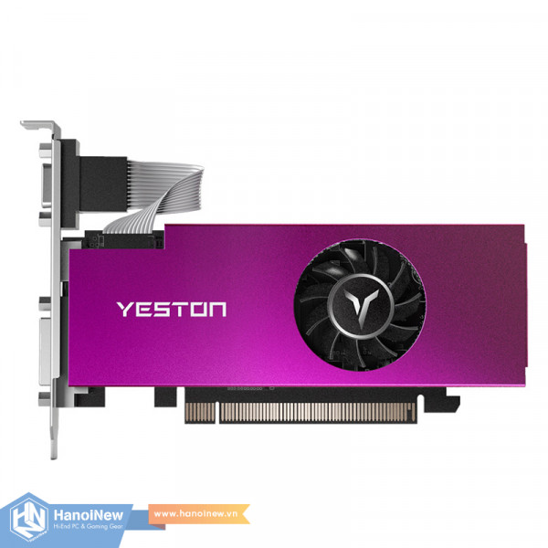 VGA Yeston Radeon RX 550 4G D5 LP XL2